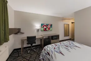 Red Roof Inn Mansfield - Zimmer