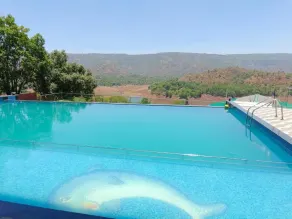 Nisarga Lake Resort Tapola - Pool