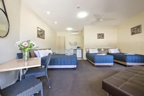 Matilda Motor Inn - Room