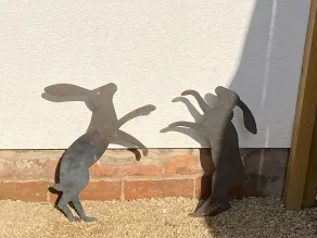 The Hare - Piscine
