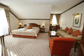 Gran Hotel Balneario De Puente Viesgo - Chambre