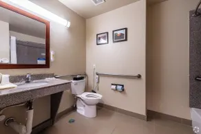 Comfort Inn & Suites Navasota - Bagno