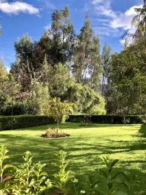 Las Casitas del Arco Iris - View from room