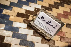 Monriad - Reception