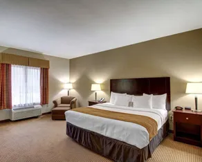 Comfort Inn & Suites Alvarado - Chambre