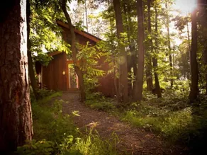 Sherwood Forest Cabins - Forest Holidays - Udsigt fra værelset