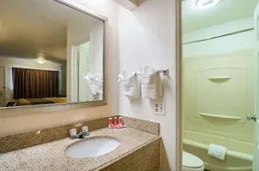 Econo Lodge South Holland - Chicago Southland - Salle de bain