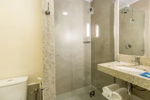 ibis Budget Ribeirão Preto Vila do Golf Shopping - Bathroom