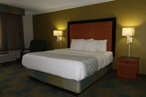 La Quinta by Wyndham St. Pete-Clearwater Airport - Chambre