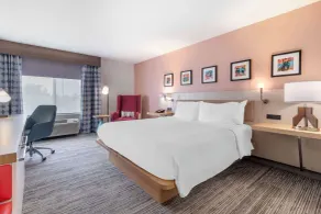 Hilton Garden Inn Lexington Hamburg - Rum