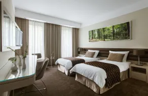 Hotel Narvil Conference & Spa - Room