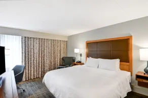 Hampton Inn Albany-Wolf Road (Airport) - Chambre