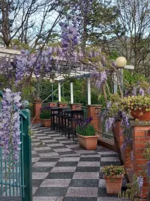 Bed&Breakfast Bella Vita - Terrasse/Patio