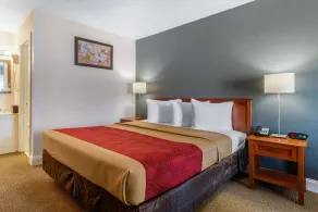 Econo Lodge Airport - RJ Stadium - Chambre