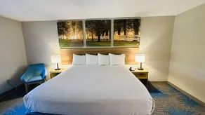 Days Inn & Suites by Wyndham Wynne - Chambre