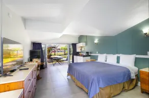 Warm Mineral Springs Motel - Værelse