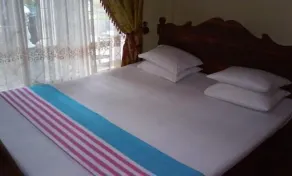 Viveka Inn Guest and Yala Safari - Rom