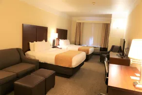 Comfort Inn & Suites, Odessa I-20 - Chambre