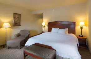 Hampton Inn & Suites Brownsville - Chambre