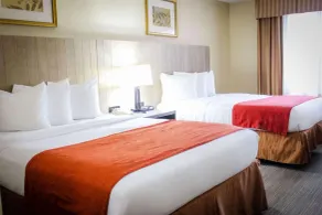 Country Inn & Suites by Radisson, Chester, VA - Chambre