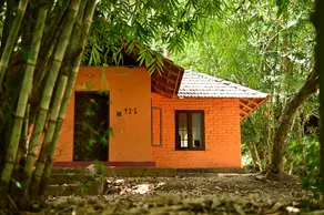 Ayurguru ayurvedic kalari Resort - Baño