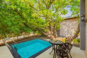 The Forest Chapter by Sayaji Sasan Gir - Vistas desde la habitación