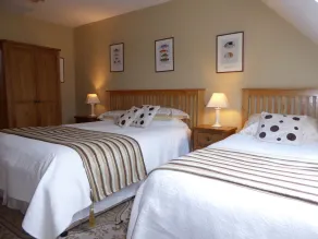 Camillaun Lodge with Lough Corrib Boat Hire - Værelse