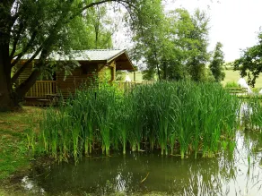Etangs du Moulin - Chambre