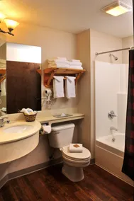 Stoney Creek Hotel St. Joseph - Salle de bain
