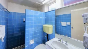 Goulburn Central Motel - Bathroom