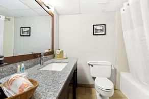 Comfort Inn Grantsville-Deep Creek Lake - Bathroom