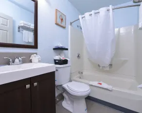 Econo Lodge Rochester I-90 & I-390 - Salle de bain