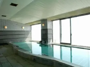Hotel Cetus Royal - Piscine