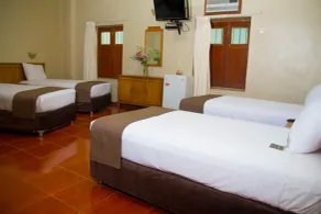 DM Hoteles Mossone - Ica - Room
