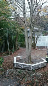 Hakone Mori No Yado 蘇ったモダニズム教会建築 - Vista dalla camera
