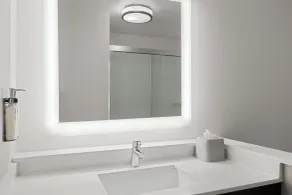 Holiday Inn Express & Suites - Tampa East - Ybor City by IHG - Salle de bain