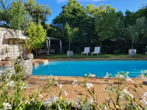 Wild Olive Guest House & Villa - Pool
