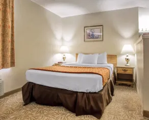 Econo Lodge Inn & Suites Stevens Point - Chambre