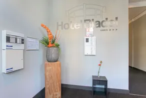 Hotel Bladel - Entrada (vista interior)