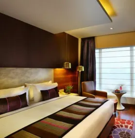 Park Plaza Shahdara - Chambre