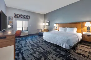 Hampton Inn Norfolk - Rum