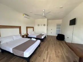 casa areka - Rum