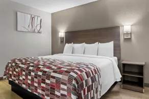 Red Roof Inn Flint - Chambre