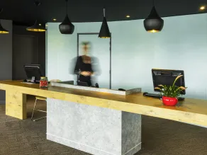 ibis Tarbes Odos - Reception