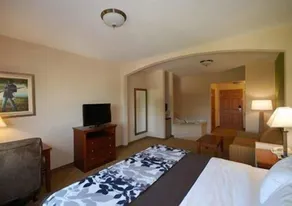 Sleep Inn & Suites Gettysburg - Chambre