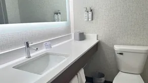 Holiday Inn Express & Suites - Prospect Heights by IHG - Badrum