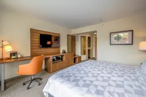 Holiday Inn San Jose La Sabana by IHG - Rum