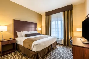 Cobblestone Hotel & Suites Hartford - Chambre