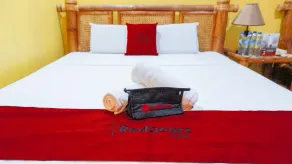 RedDoorz @ Lawaan Roxas City - Zimmer