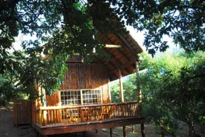 Amafu Forest Lodge - View from room